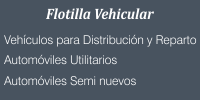 Flotilla Vehicular