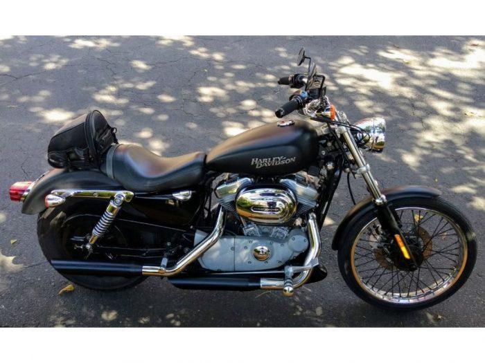 Lote 002 - Motocicleta Harley Davidson Sportster Custom - Imagen 7