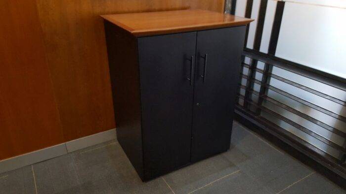 Lote 008 - Gabinete con 2 puertas - Imagen 5