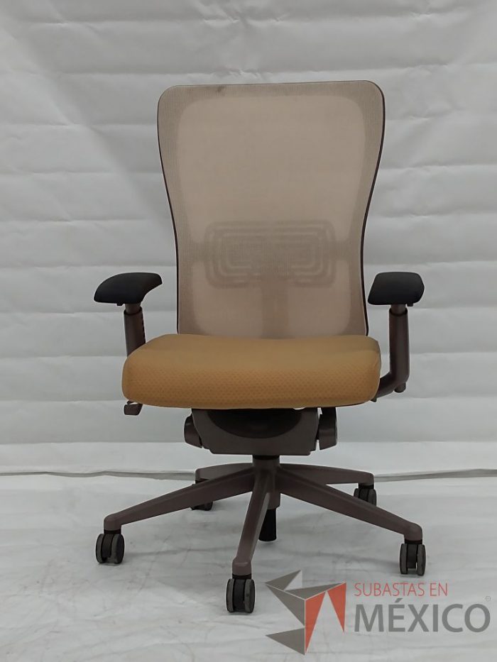 Lote 019 - 4 Sillas ZODY AMA - Imagen 2