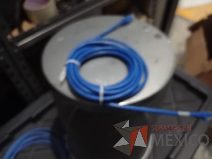 Lote 014 - 125 Cables Ethernet color azul
