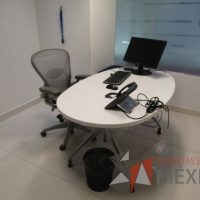 Lote 008 - Mesa de trabajo ovalada