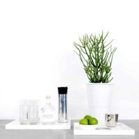 Lote 082 - Set de 2 Bandejas Low Tray Rectangular Blanco - Imagen 2