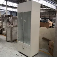 Lote 057 - 5 Gabinetes de 2 puertas de vidrio y 2 puertas inferiores color blanco - Imagen 10