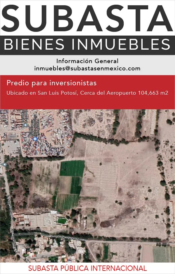 Subasta Pública Internacional