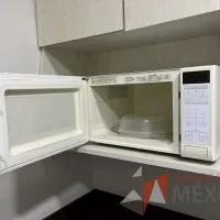 Lote 009 - Horno de Microondas - Imagen 2