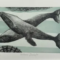 Lote 004 - Cristina Luna - Ballenas y Brújula - Litografía