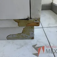 Lote 021 - Gabinete de 2 puertas con 1 entrepaño - Imagen 6