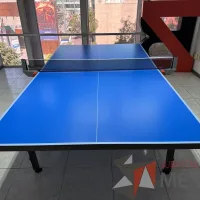 Lote 046 - Mesa de ping pong con ruedas - Imagen 12