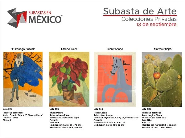 Subasta de Arte - Colecciones Privadas