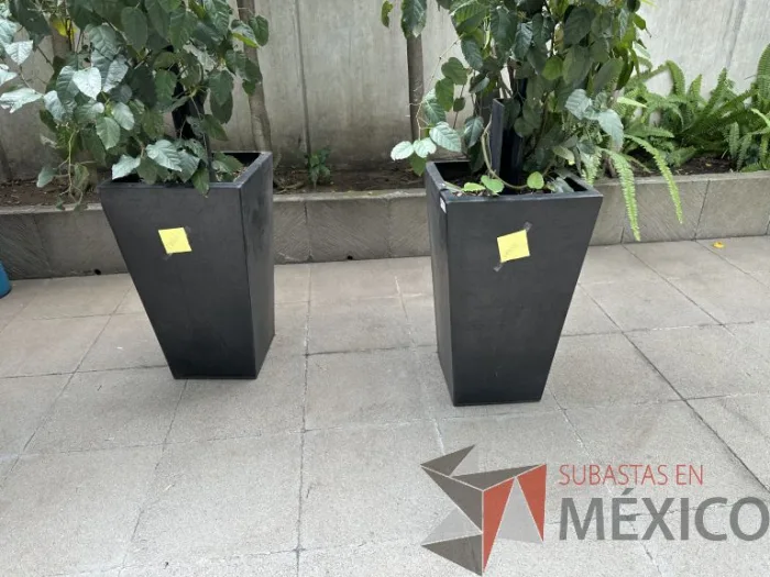 Lote 018 - 3 Macetas color negro - Imagen 4