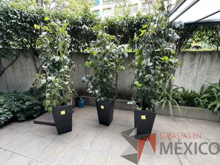 Lote 018 - 3 Macetas color negro - Imagen 6