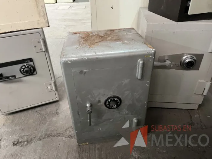 Lote 005 - 6 Cajas fuertes de diferentes modelos y Puerta blindada - Imagen 13