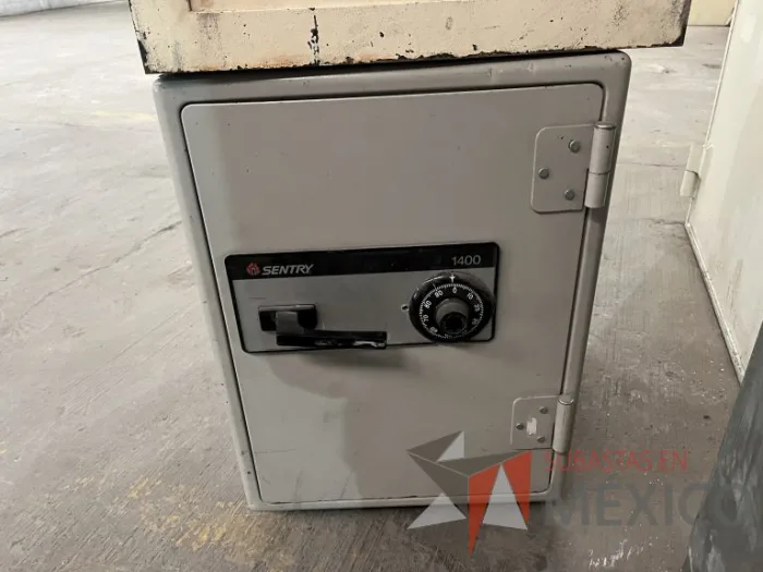 Lote 005 - 6 Cajas fuertes de diferentes modelos y Puerta blindada - Imagen 17