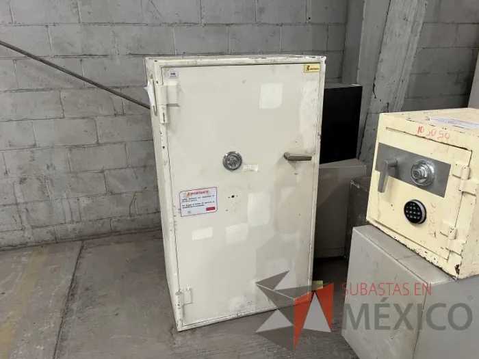 Lote 005 - 6 Cajas fuertes de diferentes modelos y Puerta blindada - Imagen 24