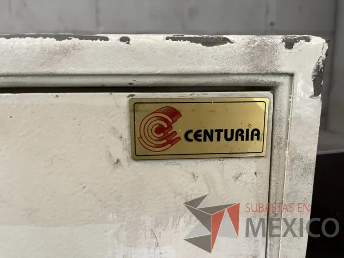 Lote 005 - 6 Cajas fuertes de diferentes modelos y Puerta blindada - Imagen 25