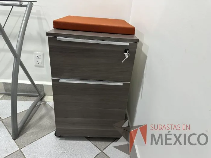 Lote 007 - Archivero vertical de 2 cajones con ruedas