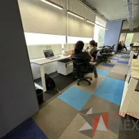 Lote 003 - Estación de trabajo lineal para 5 personas, con divisiones de vidrio, orificios para conexiones, y 5 archiveros verticales de 2 cajones con ruedas - Imagen 6