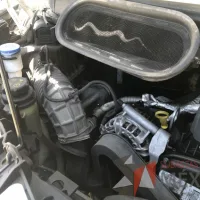 Lote 010 - Ford Transit Jumbo 2020 - Imagen 65