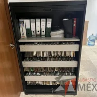 Lote 004 - Gabinete con 2 puertas corredizas, 1entrepaño y 3 charolas - Imagen 6