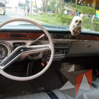 Lote 006 - Buick Electra 225 Hardtop 1965 - Imagen 17