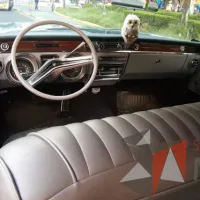 Lote 006 - Buick Electra 225 Hardtop 1965 - Imagen 9
