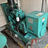 Lote 001 - Planta de emergencia SEIMEC con motor CUMMINS, 45 KVA - Imagen 9