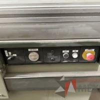 Lote 005 - Machinery Sliding Table SCM, Modelo: SI320 - Imagen 14