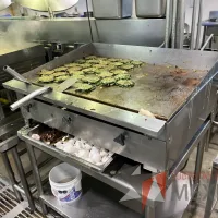Lote 007 - Plancha para preparación de alimentos CORIAT - Imagen 14