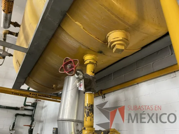 Lote 004 - Calentador Calyton, Modelo: EG-30 M 19982 - Imagen 16
