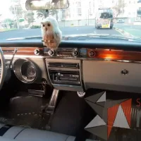 Lote 006 - Buick Electra 225 Hardtop 1965 - Imagen 22
