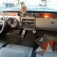 Lote 006 - Buick Electra 225 Hardtop 1965 - Imagen 40