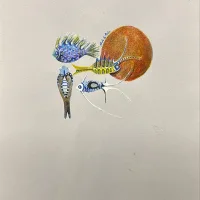 Lote 021 - M. de la Peña - Sin Título - Gouache