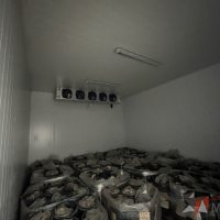 Lote 005 - Cámara de refrigeración dividida en 4 secciones con 3 puertas de acero inoxidable - Imagen 5