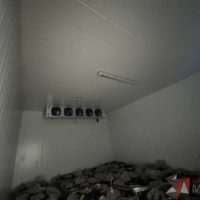 Lote 005 - Cámara de refrigeración dividida en 4 secciones con 3 puertas de acero inoxidable - Imagen 6