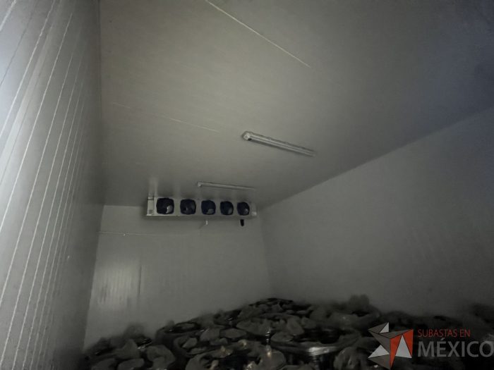 Lote 005 - Cámara de refrigeración dividida en 4 secciones con 3 puertas de acero inoxidable - Imagen 6