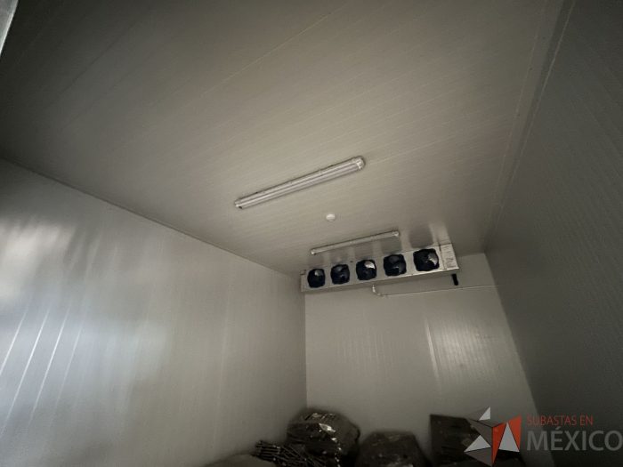 Lote 005 - Cámara de refrigeración dividida en 4 secciones con 3 puertas de acero inoxidable - Imagen 8