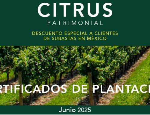 Citrus Patrimonial
